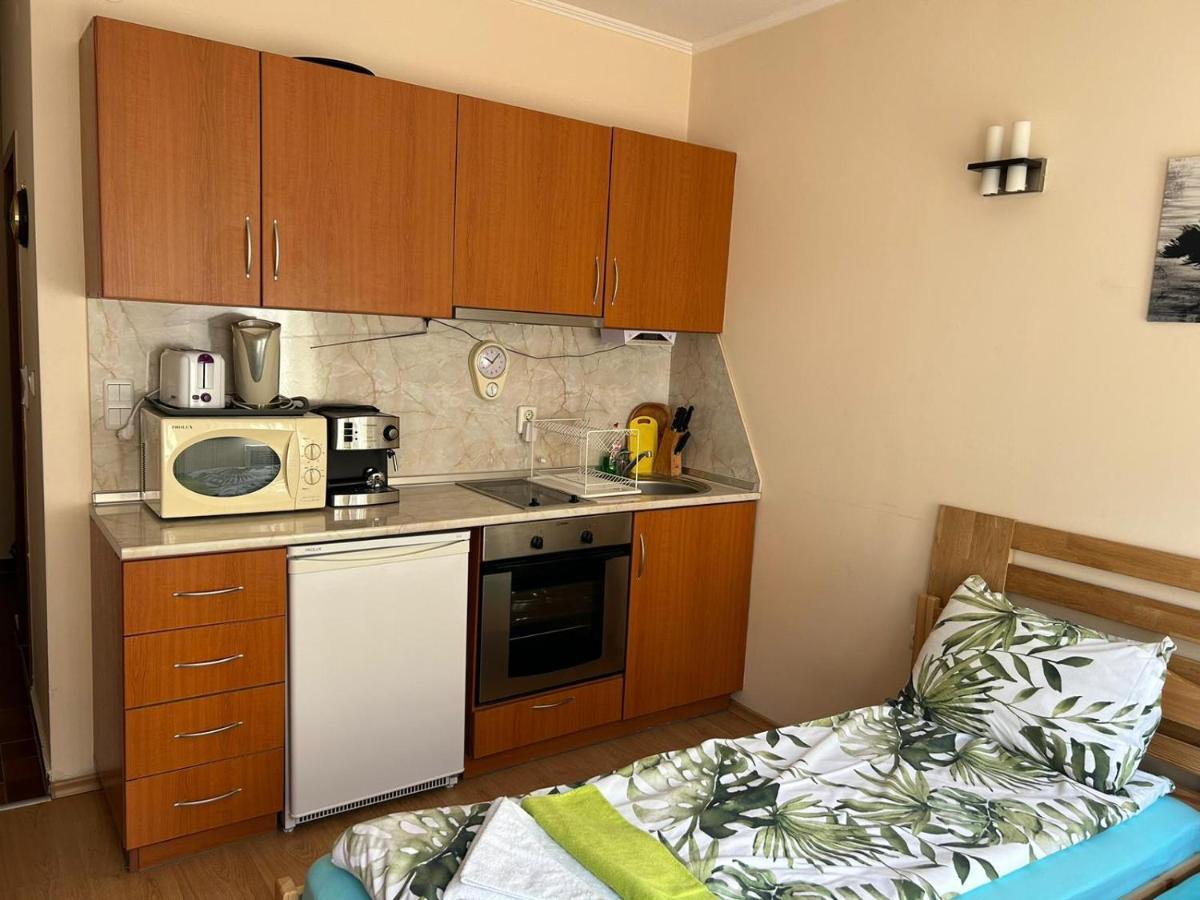 Studio In Cedar Lodge 3 Bansko Zewnętrze zdjęcie